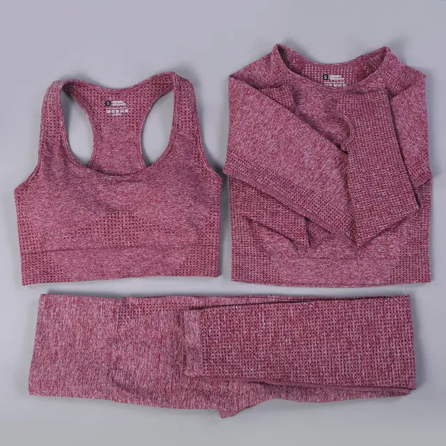 Women 2/3PCS Seamless  Workout Sportswear