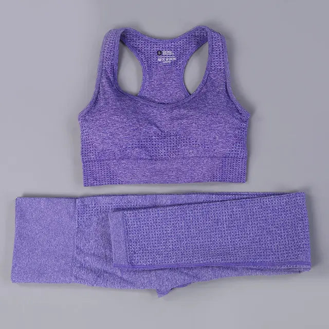 Women 2/3PCS Seamless  Workout Sportswear