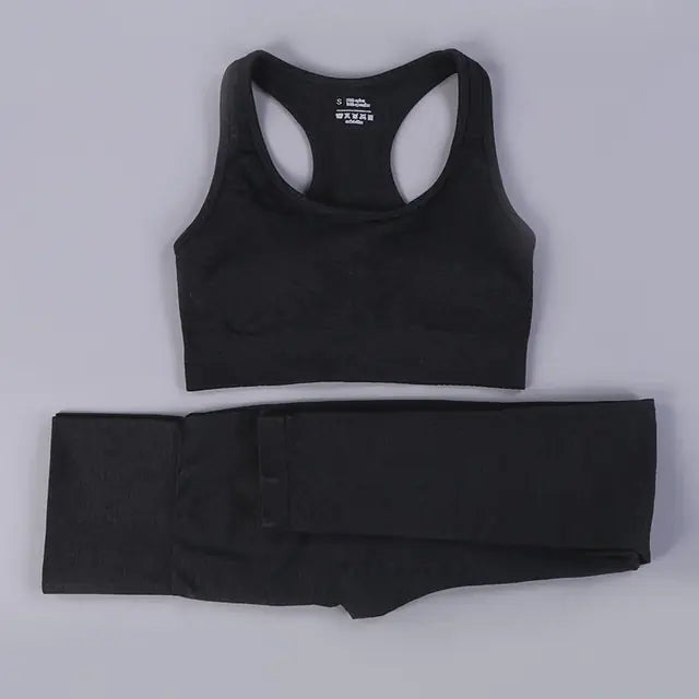 Women 2/3PCS Seamless  Workout Sportswear